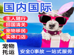 博鳌机场邮寄国际宠物托运 【国